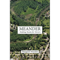 Meander: Making Room for Rivers