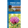 Vermont Trees & Wildflowers: A Folding Pocket Guide to Familiar Plants