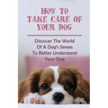 How To Take Care Of Your Dog: Discover The World Of A Dog's Senses To Better Understand Your Dog: How To Understand Dog'S Emotion