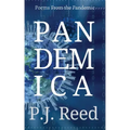 Pandemica
