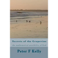 Secrets of the Grapevine: the mathematical possibility of God