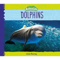 Dolphins