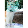 El "Gato de Schrödinger" Y El Enigma de la Física Cuántica