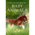 The Picture Book of Baby Animals: A Gift Book for Alzheimer's Patients and Seniors with Dementia
