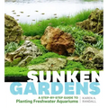 Sunken Gardens: A Step-By-Step Guide to Planting Freshwater Aquariums