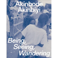 Akinbode Akinbiyi: Being, Seeing, Wandering: Hannah Höch Prize 2024