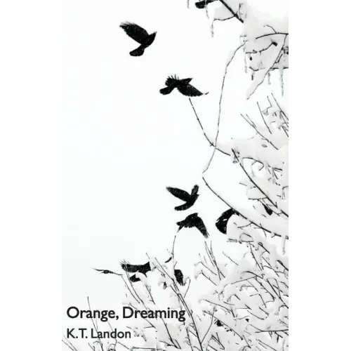 Orange, Dreaming