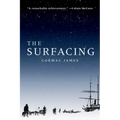 The Surfacing