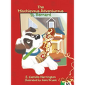 The Mischievous Adventurous St. Bernard