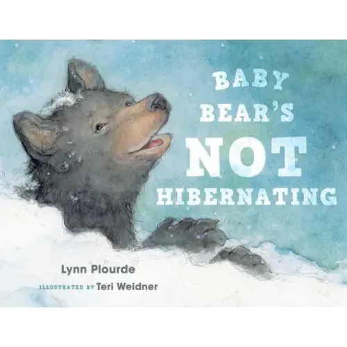 Baby Bear's Not Hibernating