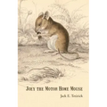 Joey the Motor Home Mouse