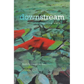 Downstream: Reimagining Water