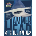 Hammerhead Sharks