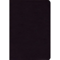 Side-By-Side Bible-PR-NIV/MS-Large Print: Two Bible Versions Together for Study and Comparison