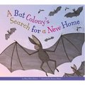 A Bat Colony's Search for a New Home
