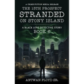 The 13th Prospect Stranded on Stony Island