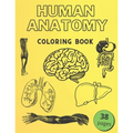 Human Anatomy Coloring Book: Informative Guide To The Human Body (internal organs the nervous system, reproductive systems and limbs) For Kids