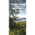 Pennsylvania Trees & Wildflowers: A Folding Pocket Guide to Familiar Plants