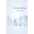 Snowy Saplings