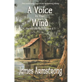 A Voice in the Wind (The Will and the Wisp Book 2)