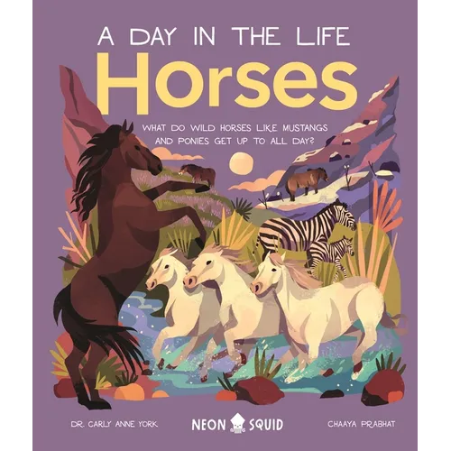 Horses (a Day in the Life): What Do Wild Horses Like Mustangs and Ponies Get Up to All Day?