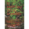 O Mistério Do El Dorado: Aventuras Na Floresta Amazônica