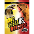 King Cobra vs. Mongoose