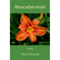 Abracadabratude