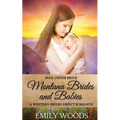 Mail Order Bride: Montana Brides and Babies