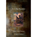 Into the Primitive