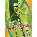 Dragonflies