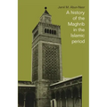 A History of the Maghrib in the Islamic Period