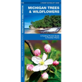 Michigan Trees & Wildflowers: An Introduction to Familiar Species