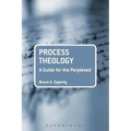 Process Theology: A Guide for the Perplexed