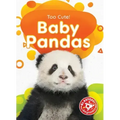 Baby Pandas