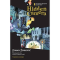 Hidden Camera
