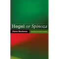 Hegel or Spinoza