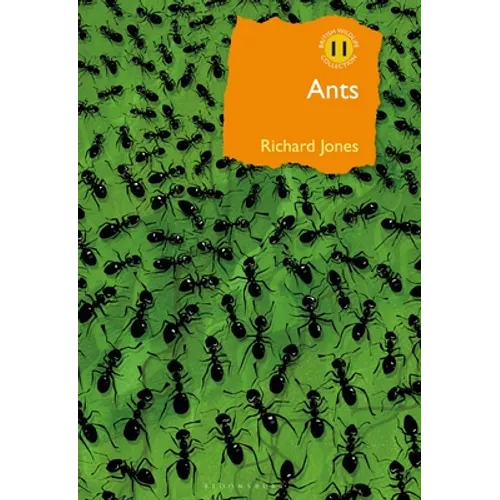 Ants: The Ultimate Social Insects