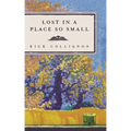 Lost in a Place So Small