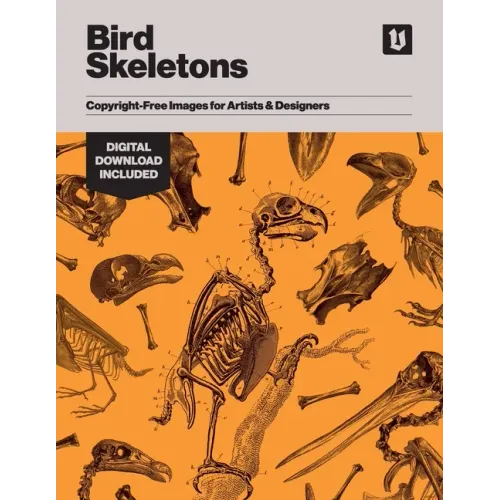Bird Skeletons: Copyright-Free Images for Artists & Designers