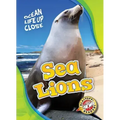 Sea Lions