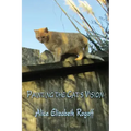 Painting the Cat's Vision