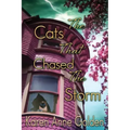 The Cats that Chased the Storm