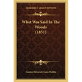What Was Said In The Woods (1851)