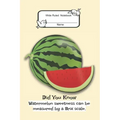 Composition Book: Wide Rule- Watermelon