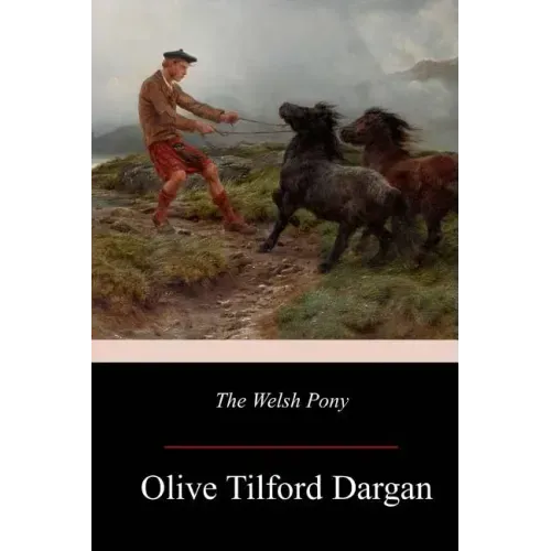 The Welsh Pony