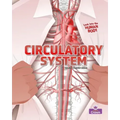Circulatory System