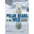 Polar Bears in the Wild: A Visual Essay of an Endangered Species