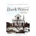 Dark Water: Art, Disaster, and Redemption in Florence