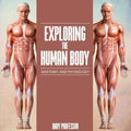 Exploring the Human Body Anatomy and Physiology